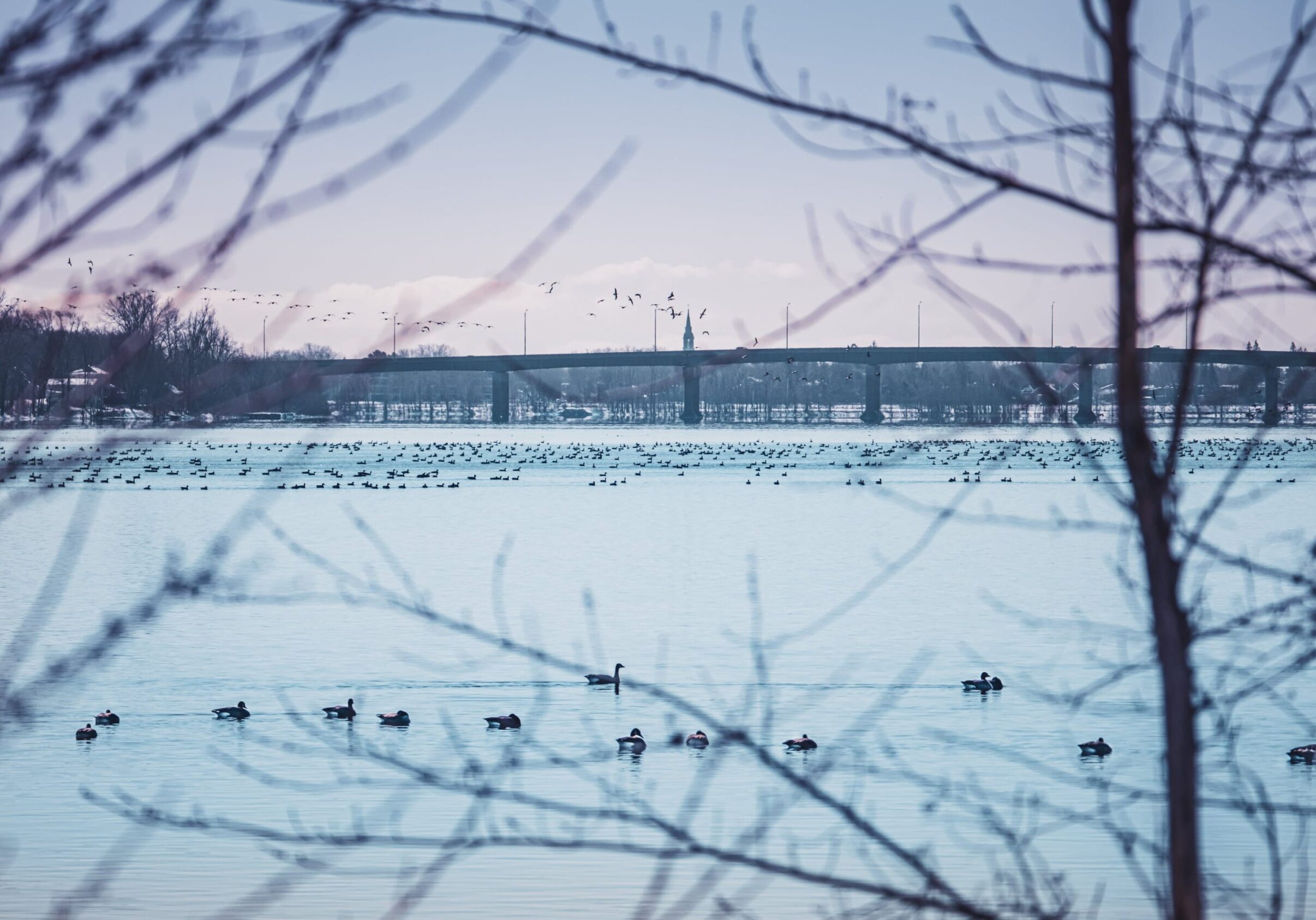 riviere-hivernale-1